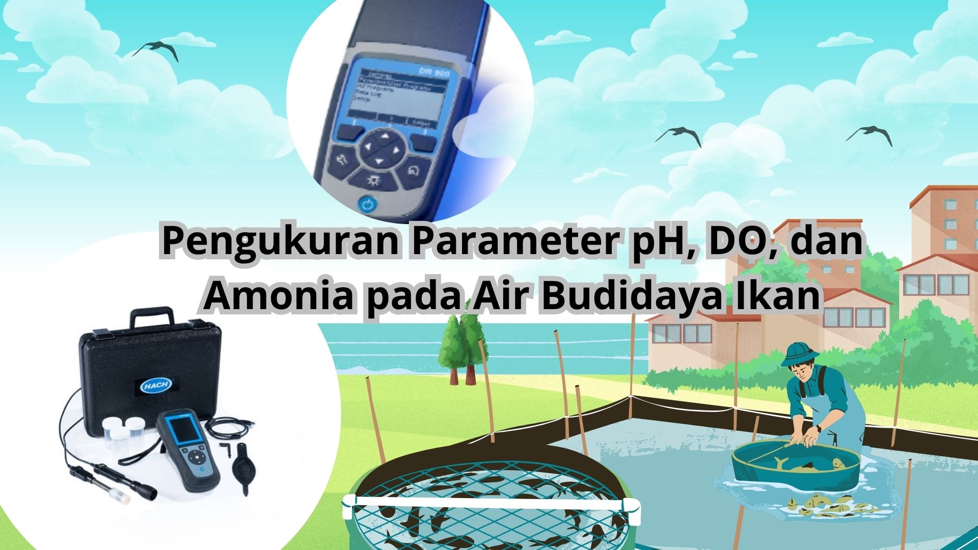 Pengukuran Parameter pH, DO, dan Amonia pada Air Budidaya Ikan